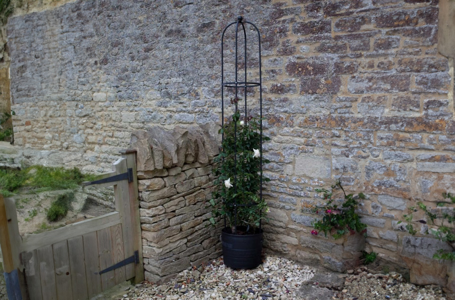 Gardening tips from Debby